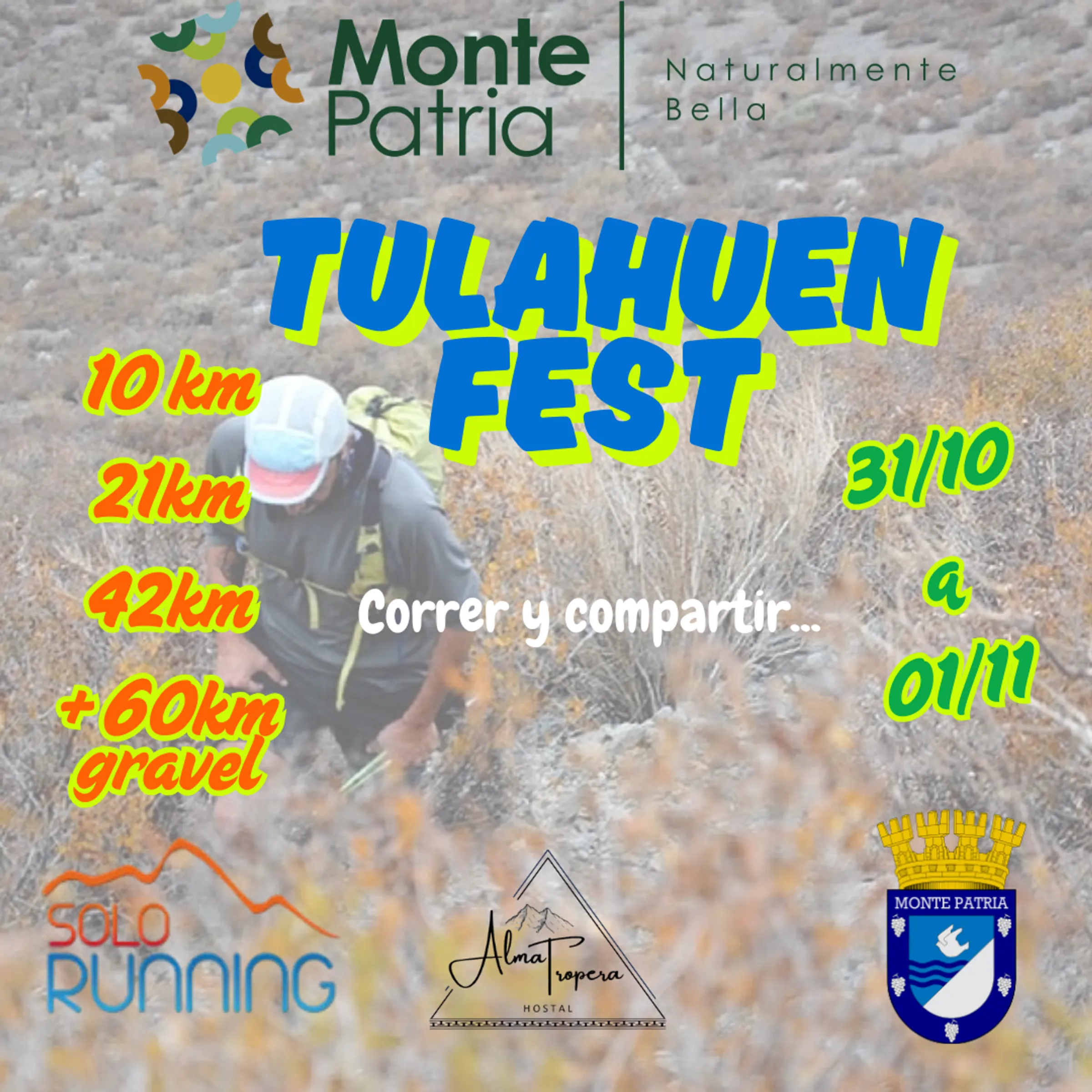 Flyer de Tulahuén Fest