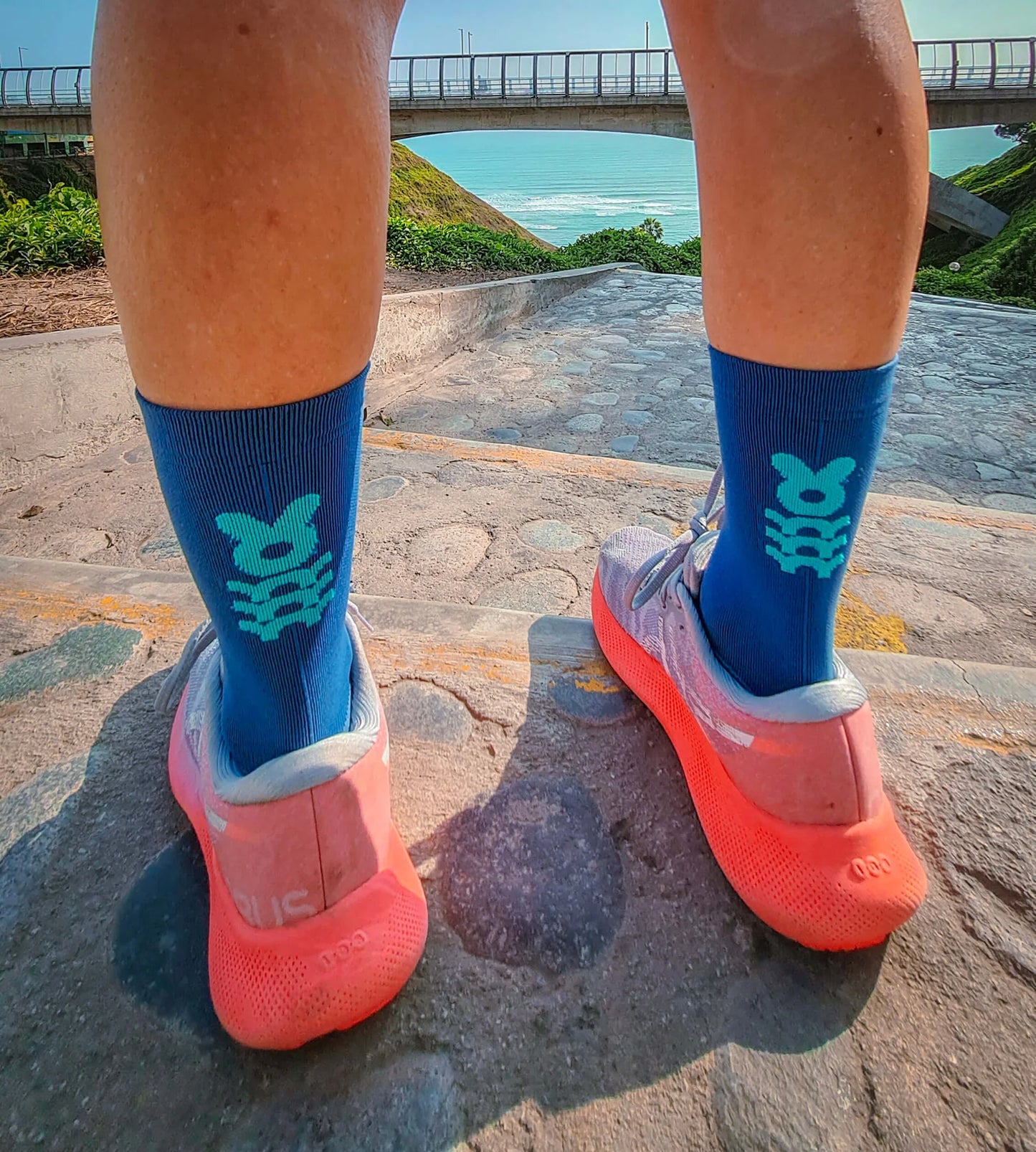 Bunnyhop - BH Azul - Medias